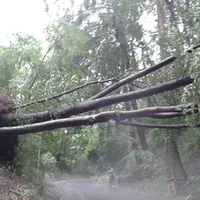 2016-07-02_hagelschlag_6.jpg