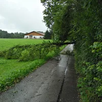 img_20170819_100641.jpg