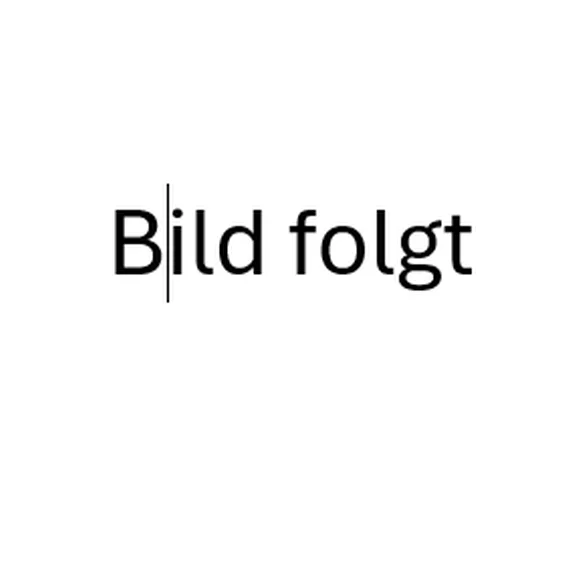 Screenshot 2026-03-13 102800.png